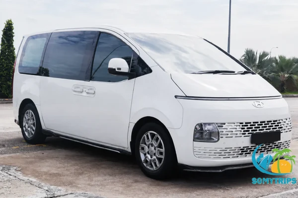 Hyundai Staria MPV for Singapore to Ipoh private transfer