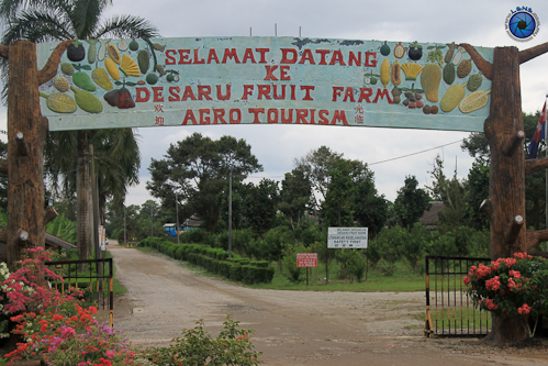 Desaru Fruit Farm 