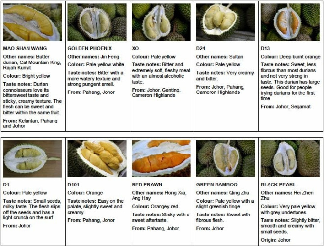 Where To Eat Durian In Melaka 9 List Place And Address Updated