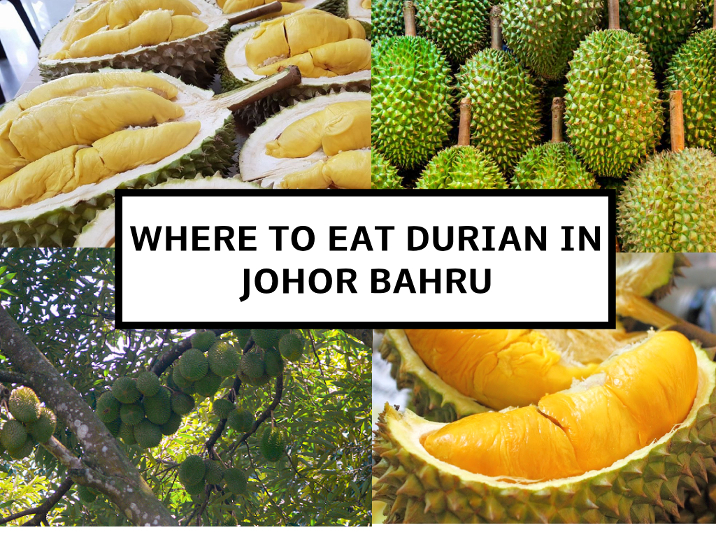 12 Place To Eat Durian In Johor Bahru (Include Address And Info)