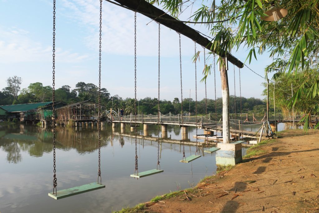Kahang Organic Rice Eco Farm To Do List Sgmytrips Com