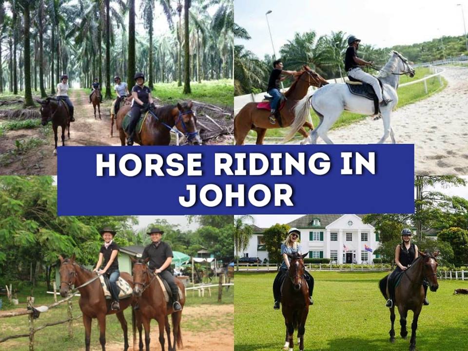 Horse Riding in johor