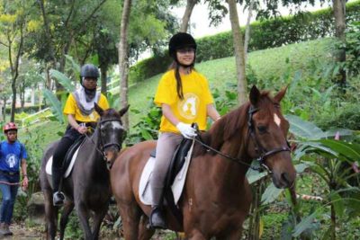 Read more about the article Horse Riding In Johor