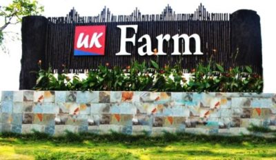 Read more about the article Kluang UK Farm To-Do-List