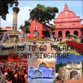 Read more about the article How to go to Melaka/Malacca From Singapore