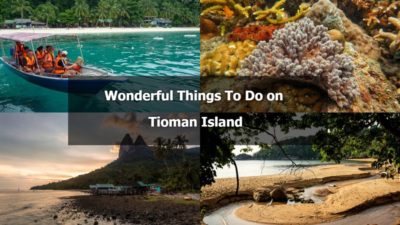 Read more about the article Wonderful Things To Do In Tioman Island