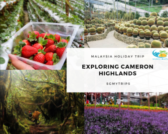 Read more about the article Exploring Cameron Highlands: Top 18 Attractions You Must Visit