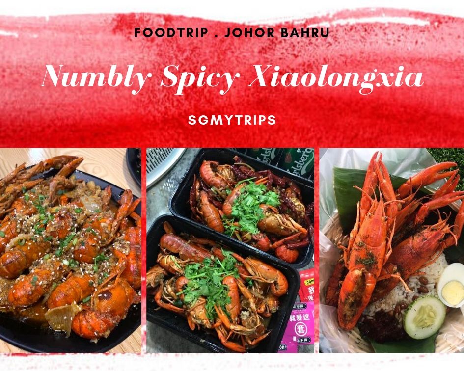 Numbly Spicy Xiaolongxia In Johor Bahru - SGMYTRIPS.com