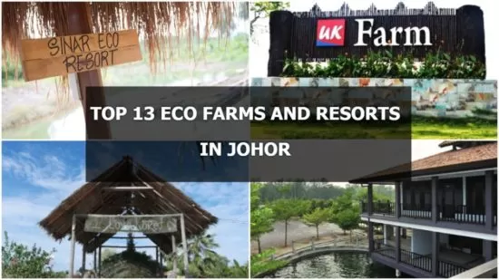 Valley eco resort green Eco Resorts