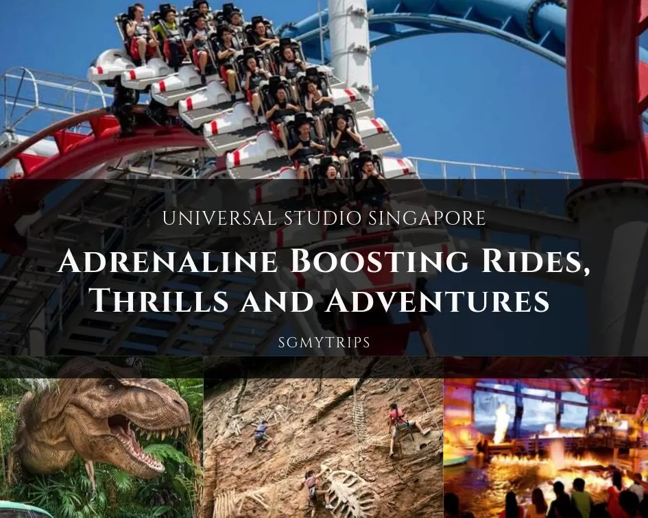 Boost Your Adrenaline Level To The Max In Universal Studios Singapore