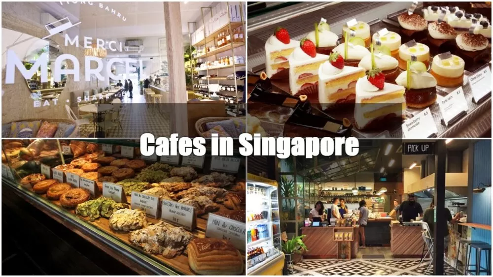 Marvelous Cafe You Must Visit In Singapore
