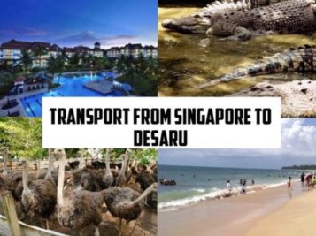 Read more about the article Transport From Singapore To Desaru