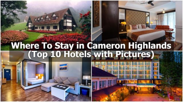 Best hotel in cameron highland