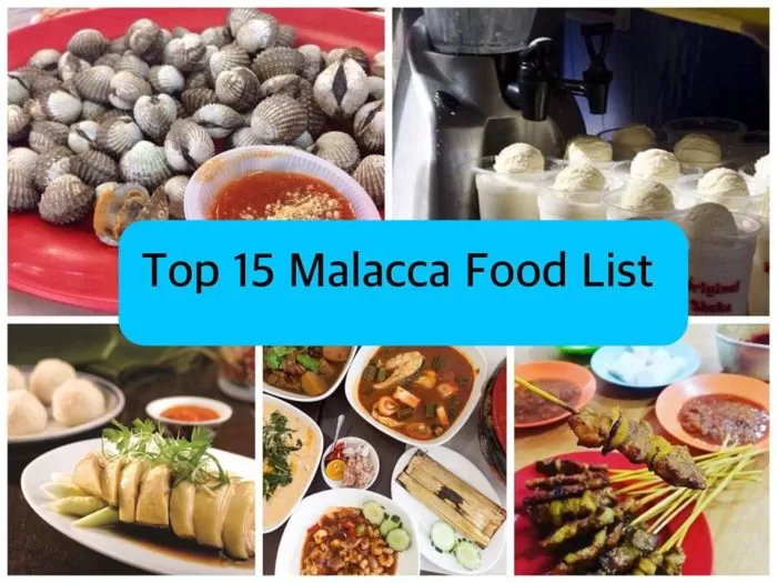 TOP 15 MALACCA FOOD LIST