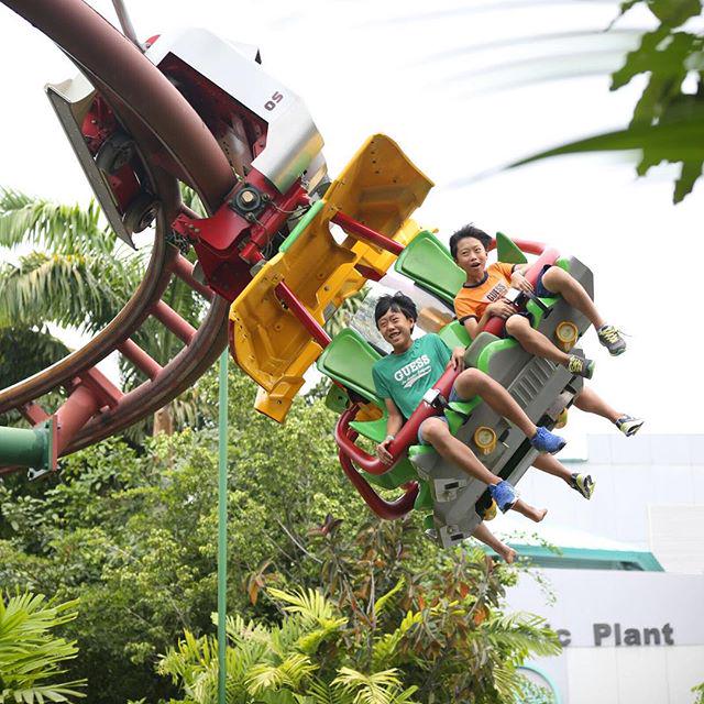 Canopy Flyer Uss ride