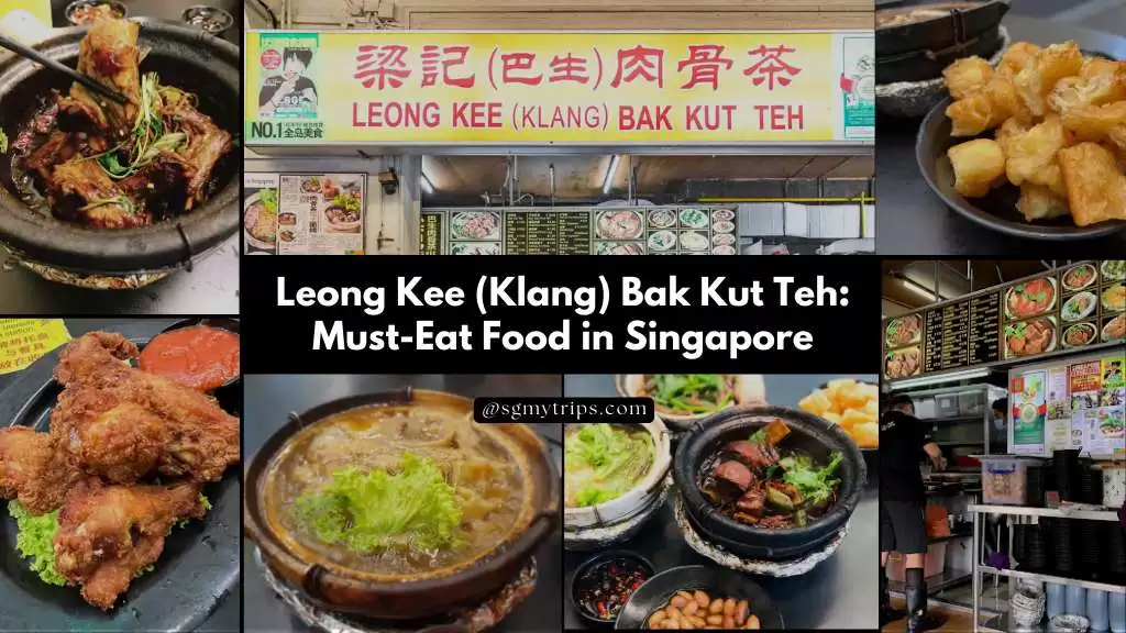 Leong Kee Klang Bak Kut Teh Must Eat Food in Singapore