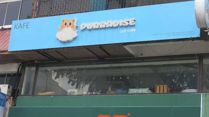 Purradise Cat Cafe Kuala Lumpur