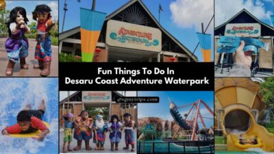 Fun Things To Do In Desaru Coast Adventure Waterpark 