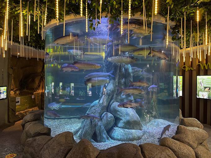 The Shore Shopping Gallery aquarium