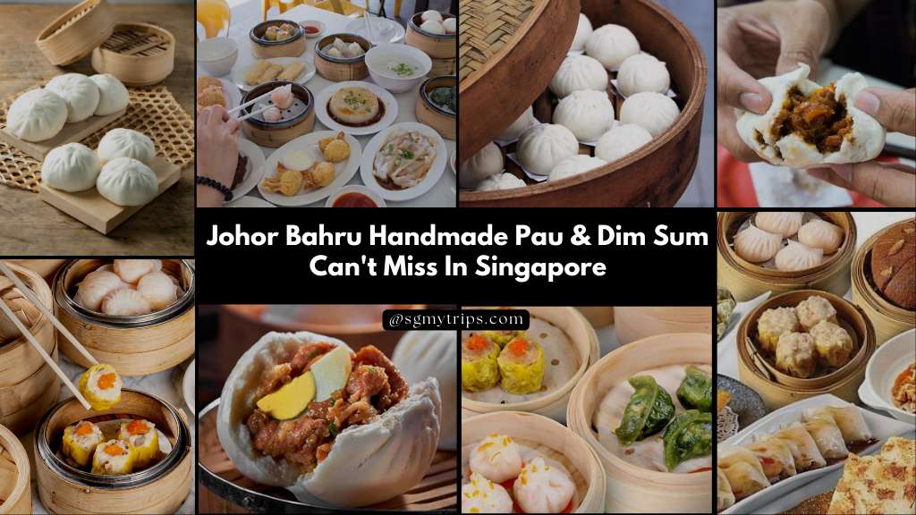 Johor Bahru Handmade Pau & Dim Sum Can't Miss in Singapore