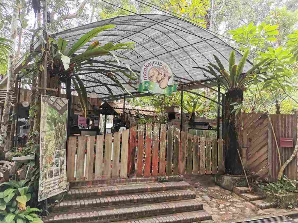 Monkey Cup Garden Penang Hill