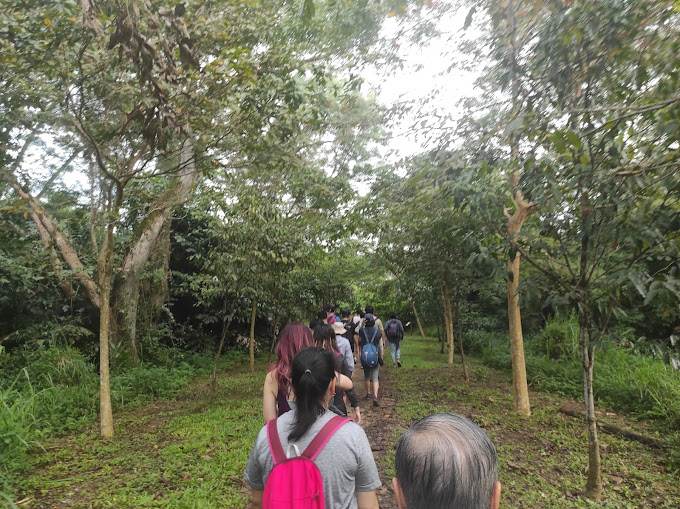 Tampine Eco Green hiking trails