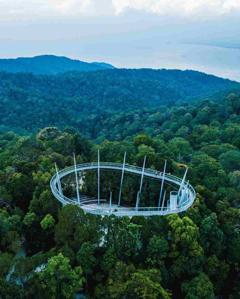 The Habitat Penang Hill Curtis Crest Tree Top walk