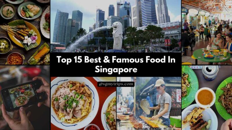 Top 15 Best & Famous Food In Singapore | SG Food Guide 2023