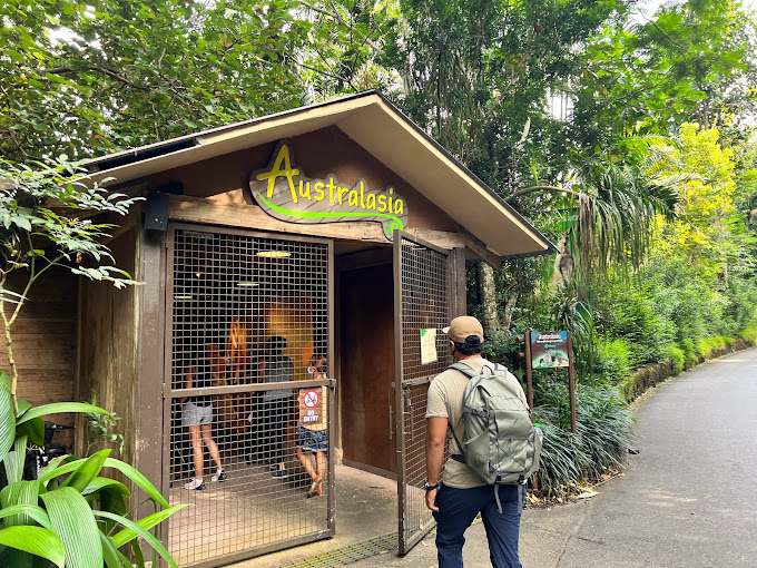 Australasia Singapore Zoo
