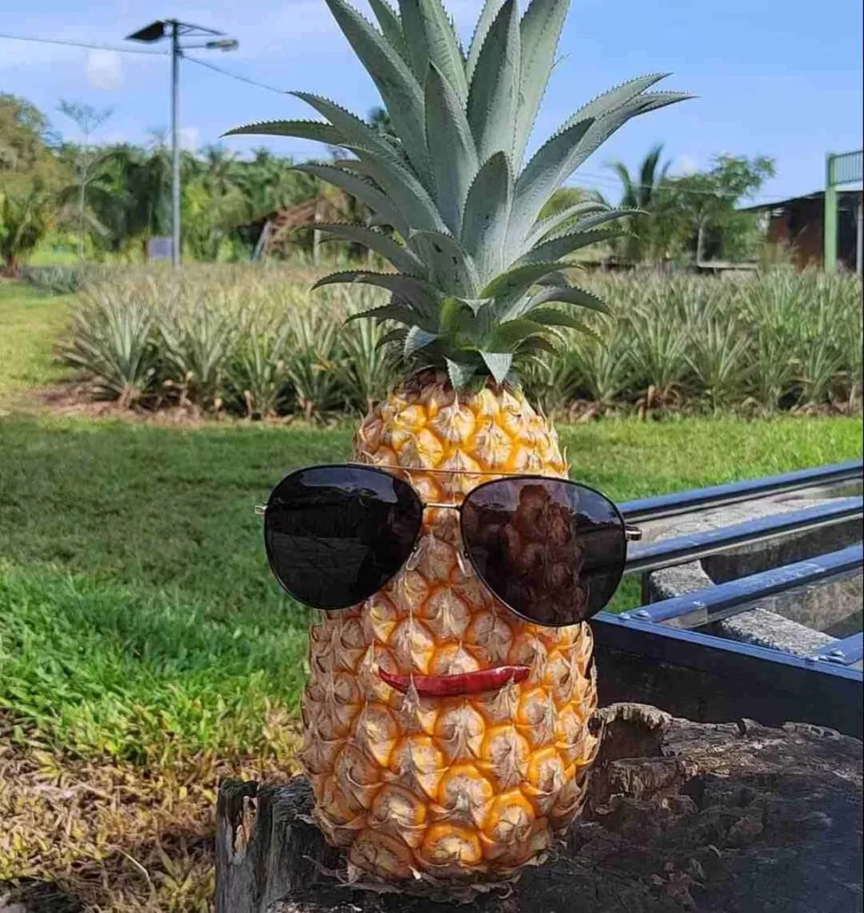Nictar Pineapple Park - Emoji