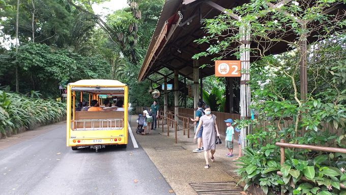SG Zoo transport