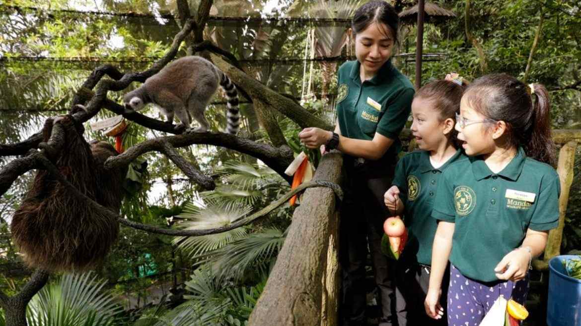 Singapore Zoo: Mandai Wildlife Reserve All You Need To Know