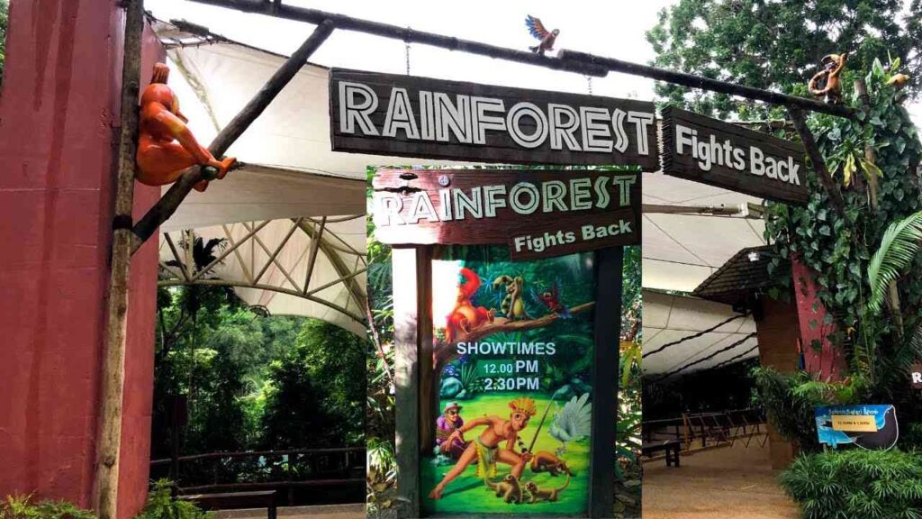 Rainforest Fights Back SG