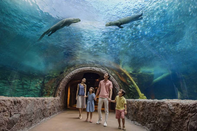 River Wonders Aquarium SG