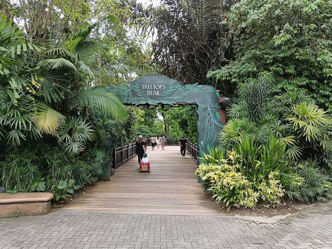 Singapore Zoo_Treetops Trail