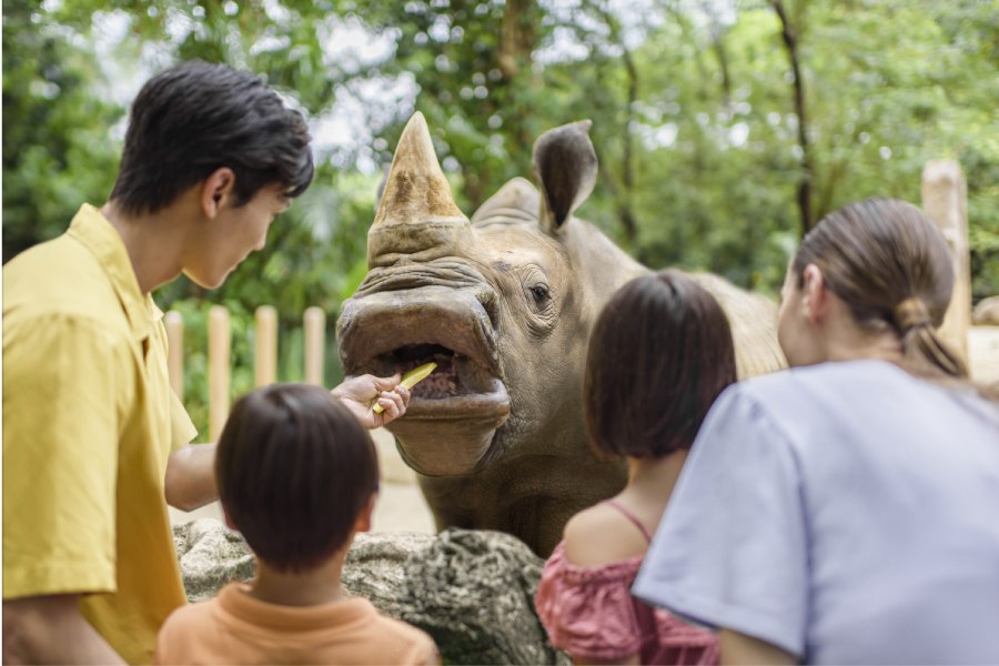 Singapore Zoo_White Rhinoceros