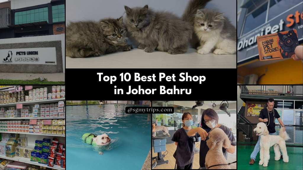 Top 10 Best Pet Shop in Johor Bahru