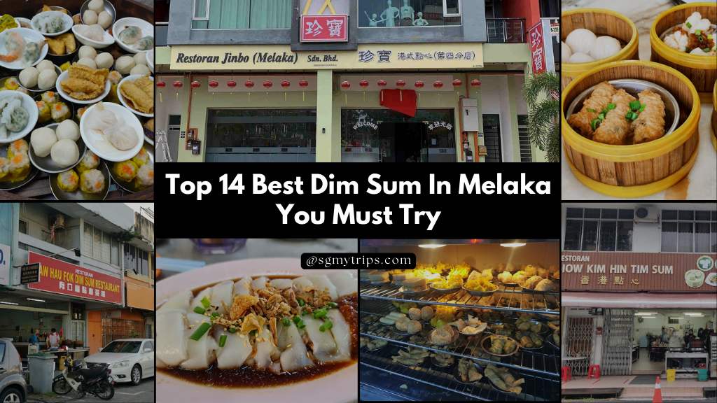 Read more about the article Top 14 Best Dim Sum In Melaka You Must Try