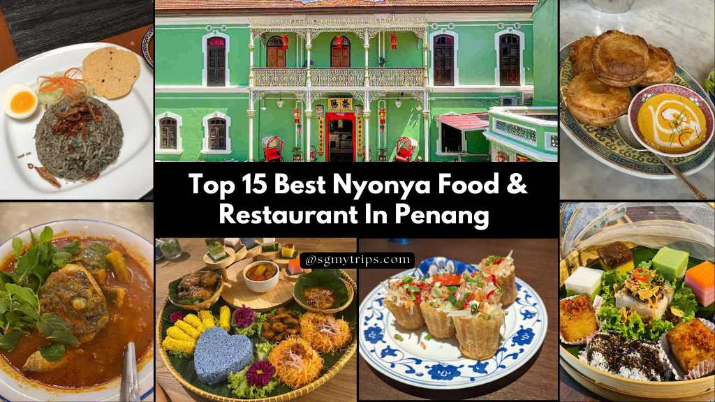 Top 15 Best Nyonya Food & Restaurant In Penang | Food Guide