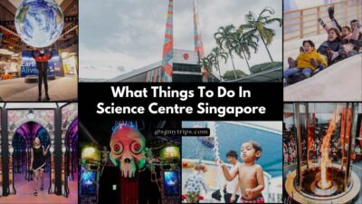 Read more about the article What Things To Do In Science Centre Singapore