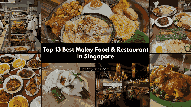 Top 13 Best Malay Food & Restaurant In Singapore