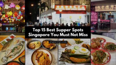 Read more about the article Top 15 Best Supper Spots Singapore You Must Not Miss