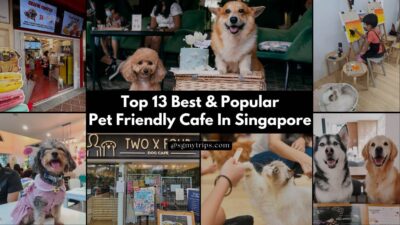 Read more about the article Top 13 Best & Popular Pet Friendly Cafe In Singapore