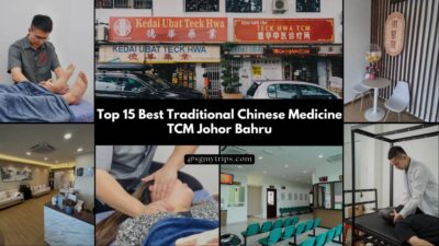 Top 15 Best Traditional Chinese Medicine TCM Johor Bahru