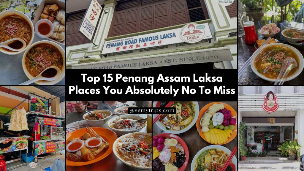 Read more about the article Top 15 Penang Assam Laksa Places You Absolutely No To Miss