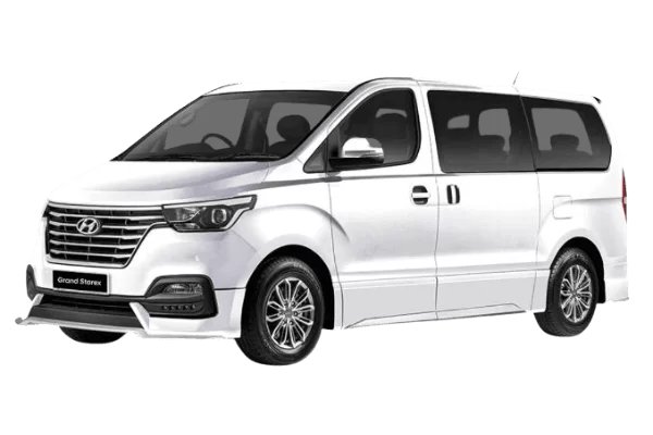 private car from singapore to mersing