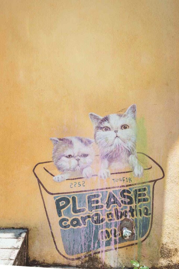 Please Care and Bath Me Penang Street Art