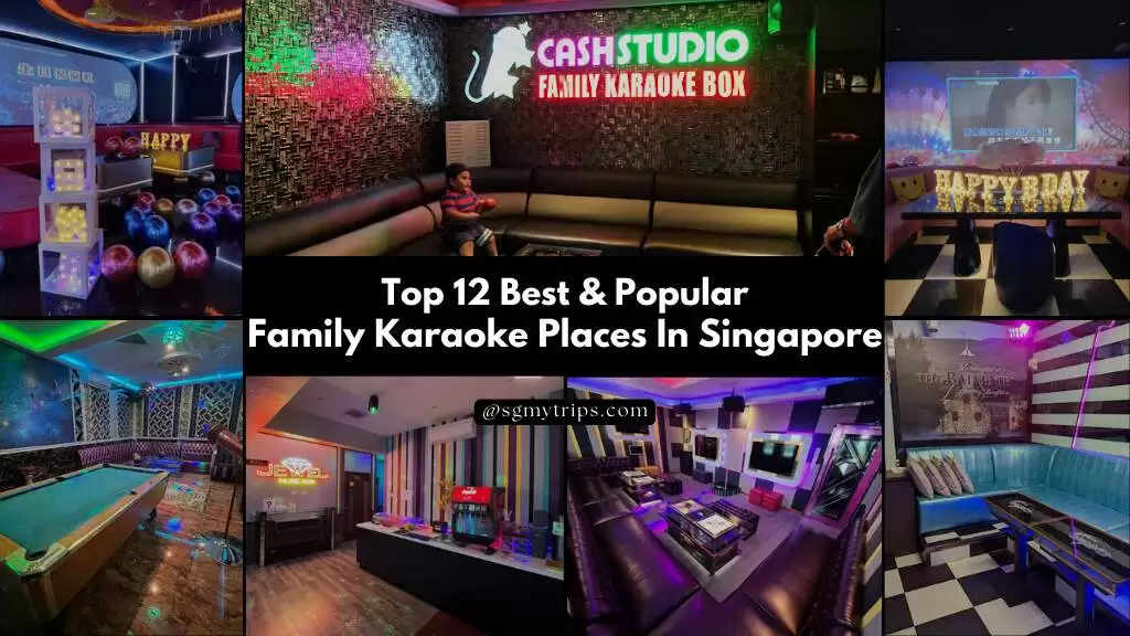 Read more about the article Top 12 Best & Popular Family Karaoke Places In Singapore
