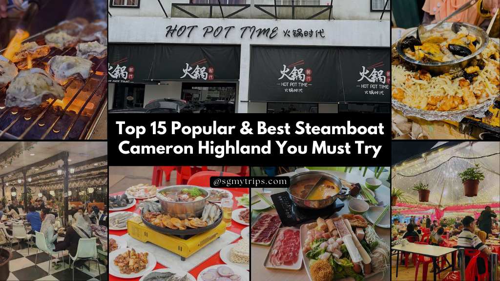 Top 15 Popular & Best Steamboat Cameron Highland Not To Miss