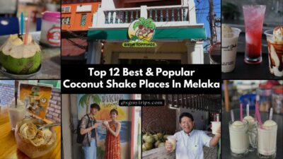 Read more about the article Top 12 Best & Popular Coconut Shake Places In Melaka